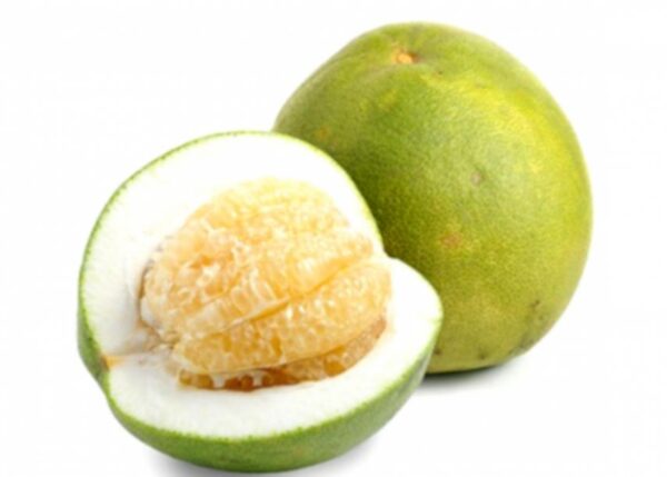 ပျားရည်ကျွဲကော Honey Pomelo