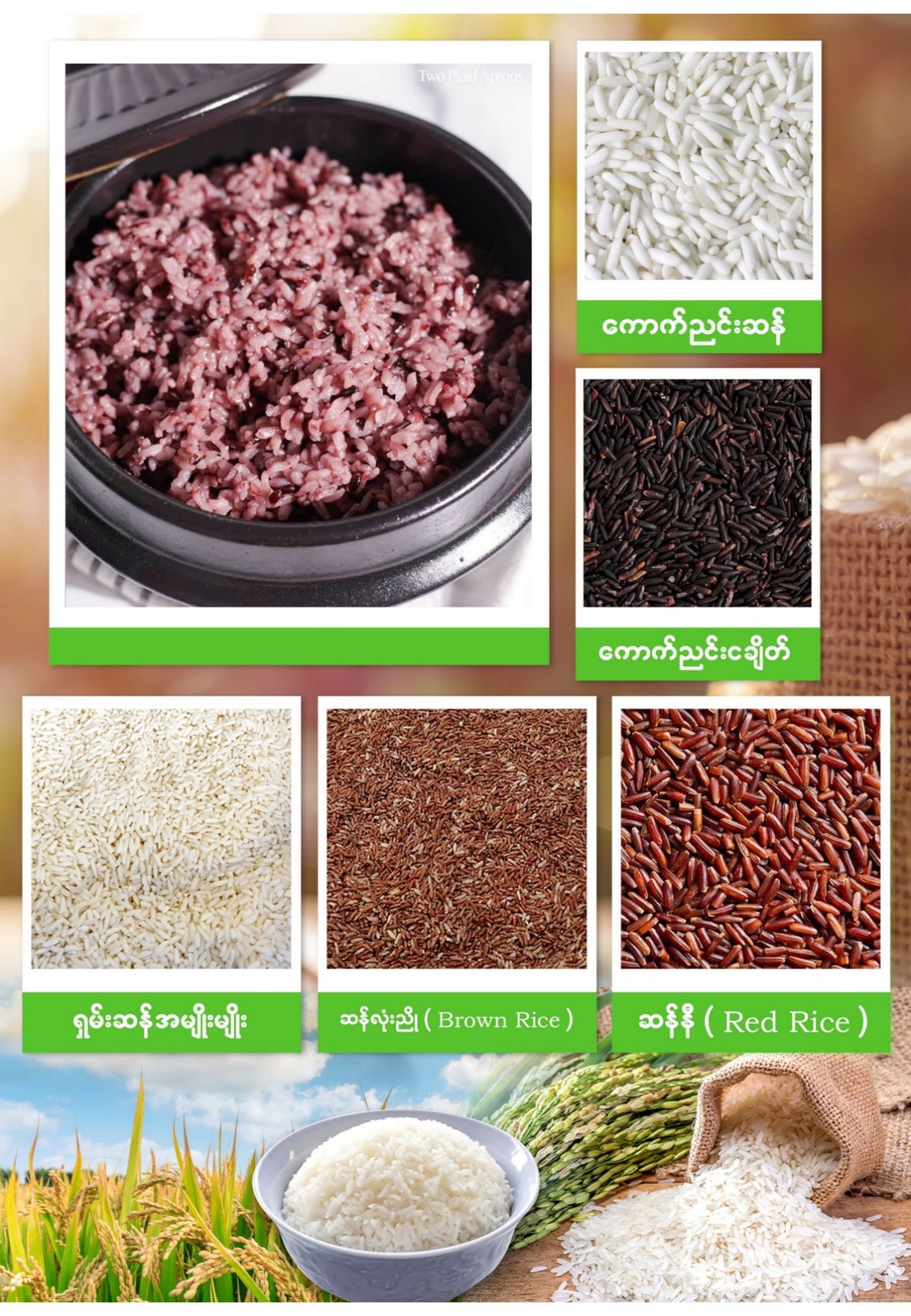 Rice products catalogue
