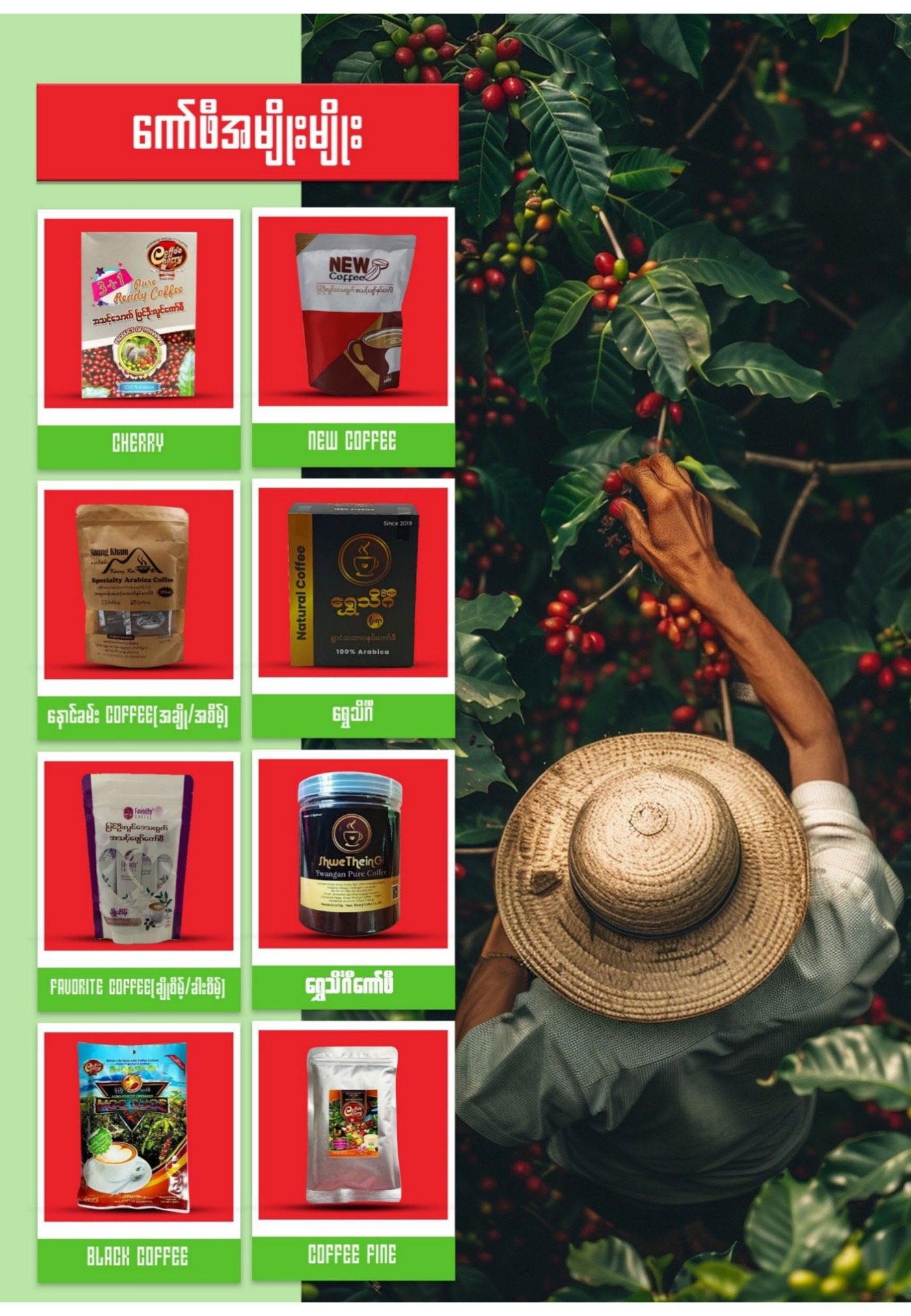 Coffee products catalogue